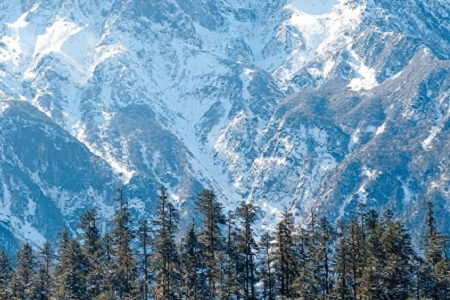 ���b�r��Ʒ�ƹ�˾������