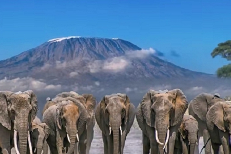 Ԣ��������t��Ĺ�˾����