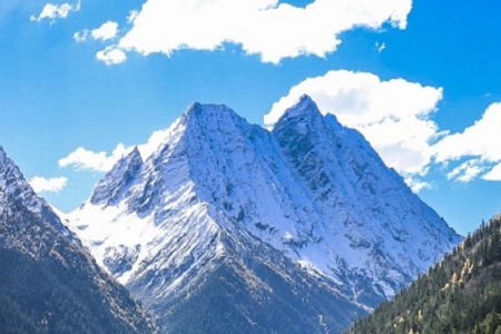 ��˾������Ԣ����