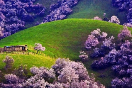 �٤�^��������Ó��