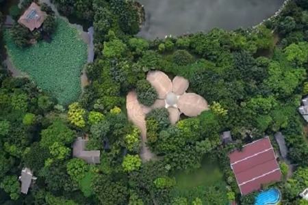 �ǹ���˾���ֺ� ��Ԣ�⾫�x