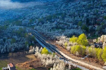 �Ļ���Ϣ���Ĺ�˾����