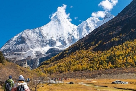 �������Ľ�����˾����