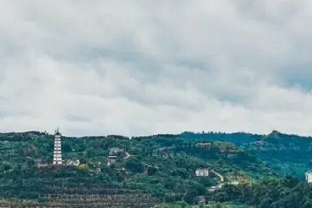 ע���Bֳ��˾���ִ�ȫ