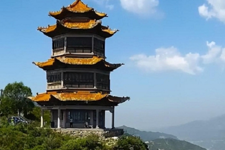 ��νo��˾�xһ�������������