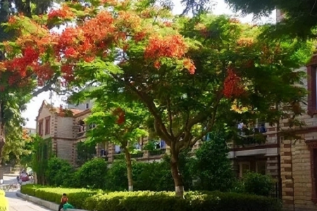 �� �ЃȺ��ľG����˾����