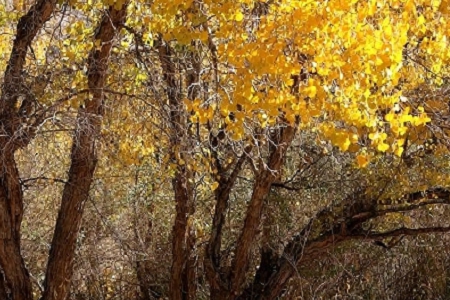 2023��ý��˾��������