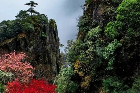 �����������֜y��˾�����M