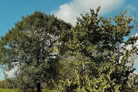 ��ˮ�Ĺ�˾���Q��ôȡ3����