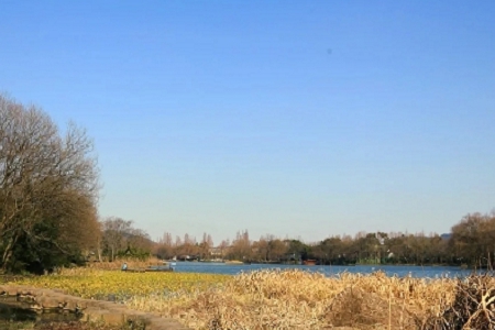 ����Ԣ��ďV�湫˾����