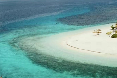 Ԣ��õĿƼ���˾����