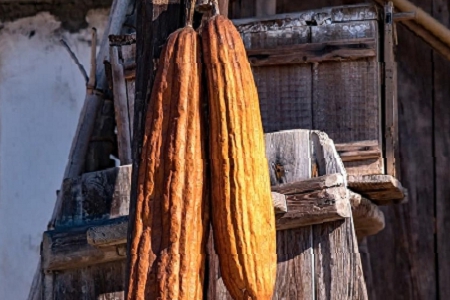 印刷包裝公司起名大全