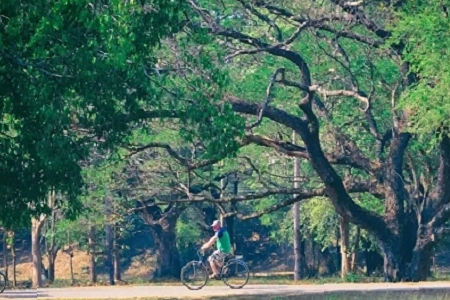 個體戶公司起名大全