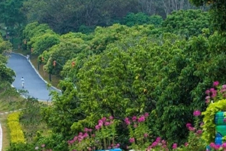 ���^���εĹ�˾���ִ�ȫ