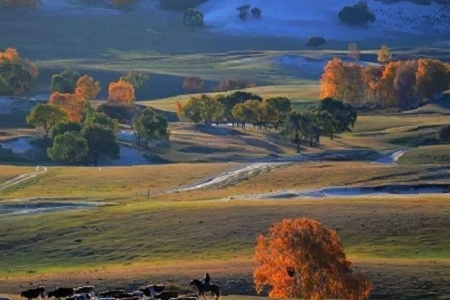 2023������Ĺ�˾���Q��ȫ