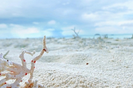 ���� �Ĺ�˾���Q��ȫ