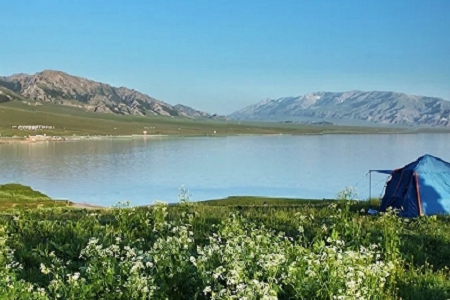 財稅類公司如何取名字