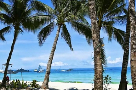 88�������˾������ȫ