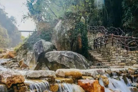 ��˾������ȫ�� �Ĺ�˾����