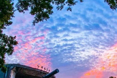 140���¹�˾ע��ȡ����ȫ