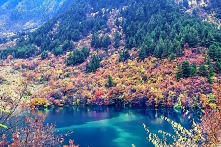 �m�Ͻ���������˾������