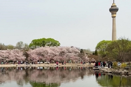 �����d���l�_�Ĺ�˾����