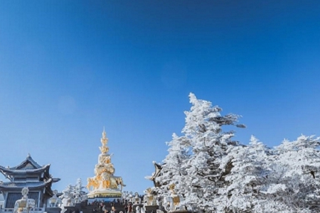 ����Ó�f�����Ĺ�˾����