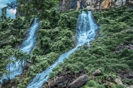 �·f����ɫ�Ĺ�˾���Q