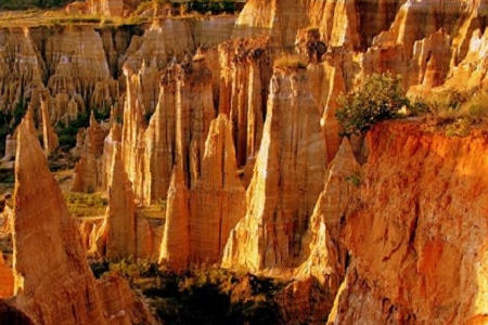 �׽�������Ĺ�˾���ִ�ȫ