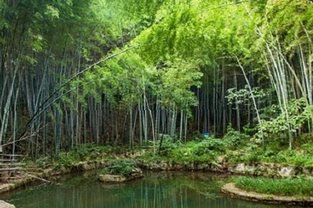 �����Ԣ��õĹ�˾���Q