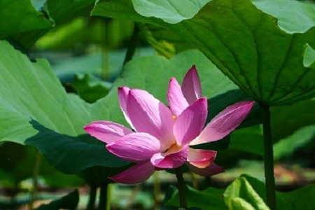 信息服務有限公司取名