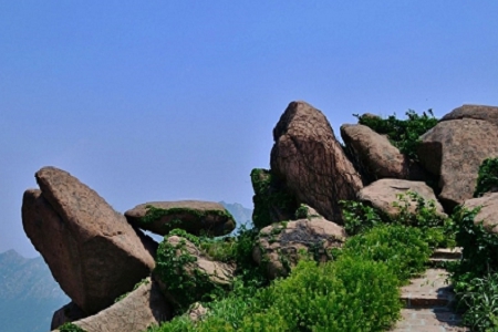 300��(g��)���鹫˾���ִ�ȫ��ӛ�� (t��ng)