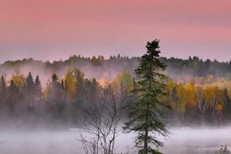 ��˾������������