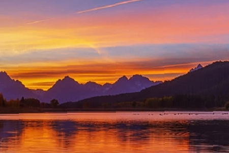 �o��˾�����ִ�ȫ���M(f��i)