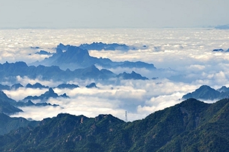 �� �ֲ��؏͵Ĺ�˾���Q