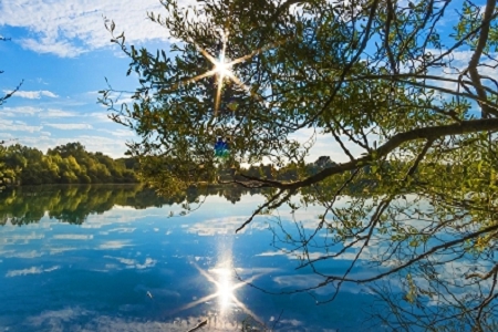 �������⾳�Ĺ�˾����