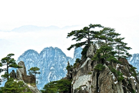 ��ִ��_�Ĺ�˾���Q��ȫ