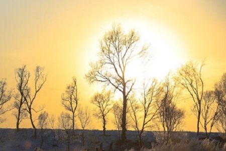 ȡ����ؔ�Ĺ�˾����