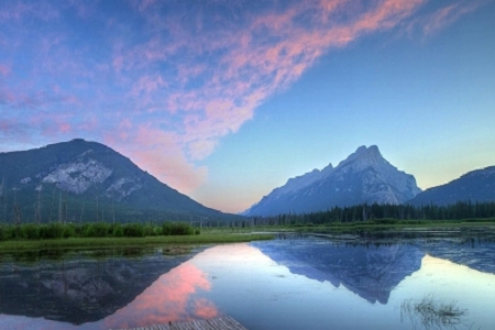 ����Ԛ�Ĺ�˾����