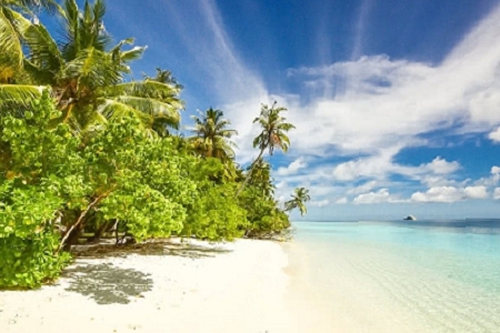 �b�޹�˾ȡ���߶˴��