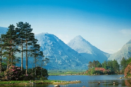 2023��o���Q��˾�����ִ�ȫ