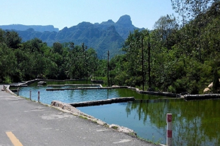 ��˾�������