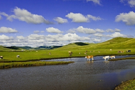 �������� �и߼�(j��)�еĹ�˾����