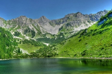 ��˾�������M������