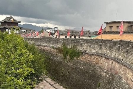 �ɂ����Є��⹫˾����