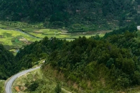 ��˾�������M(f��i)������ȫ