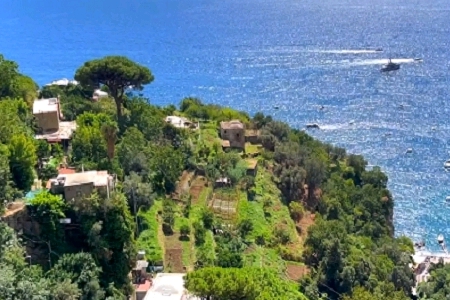 Ԣ��ù�˾ȡ���օ�����ȫ