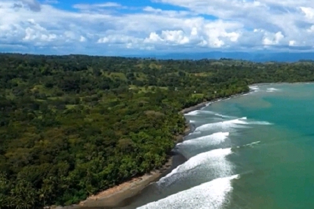 100���� �����Ĺ�˾����