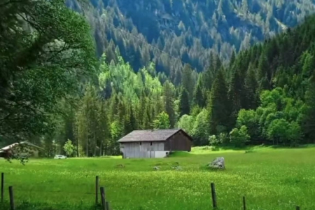 �r���³��Ĺ�˾���Q��ȫ