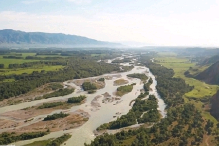 �Є���Ĺ�˾�����������